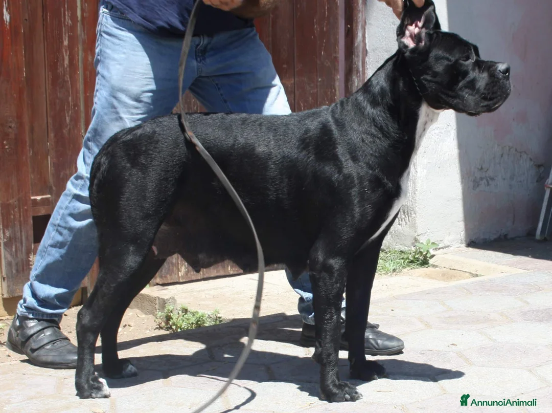 Immagine della galleria {{count}}