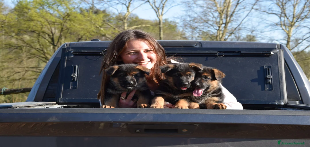 Immagine della galleria {{count}}