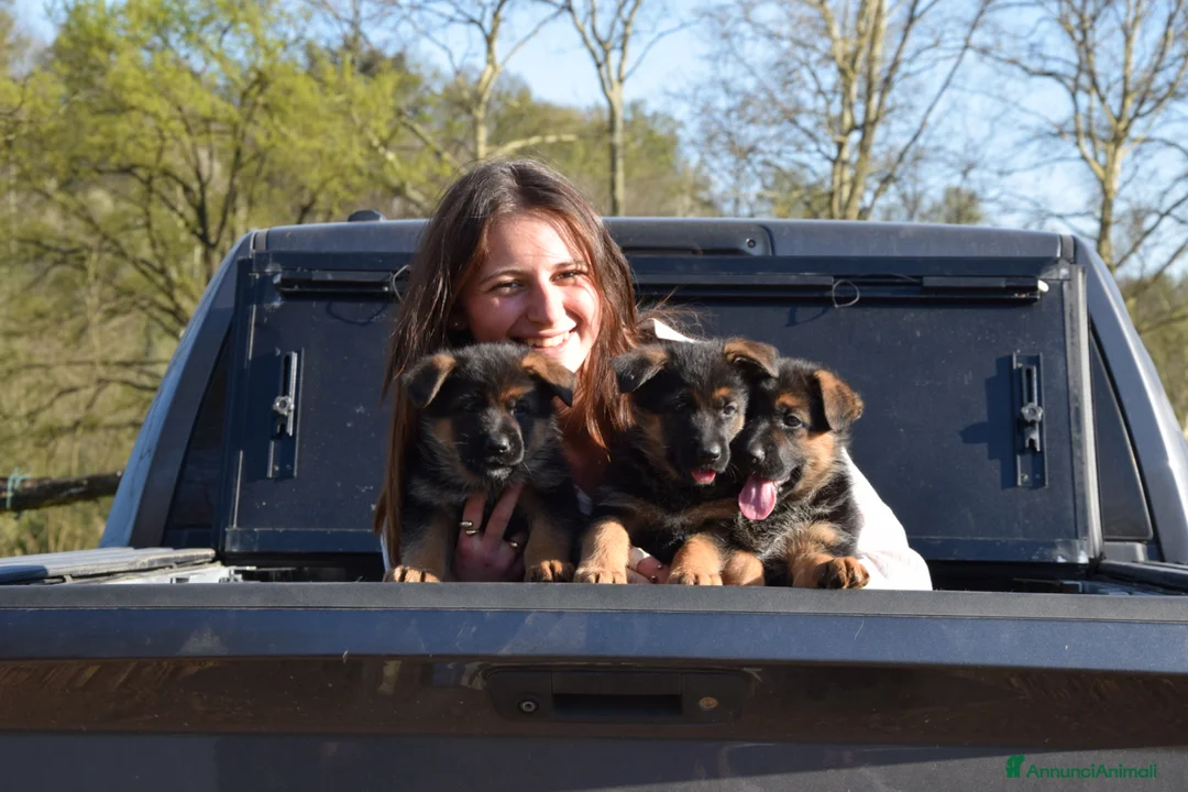 Immagine della galleria {{count}}