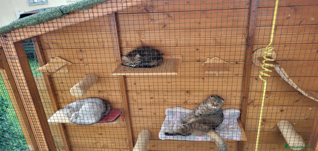 Immagine della galleria {{count}}