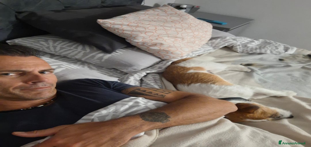 Immagine della galleria {{count}}