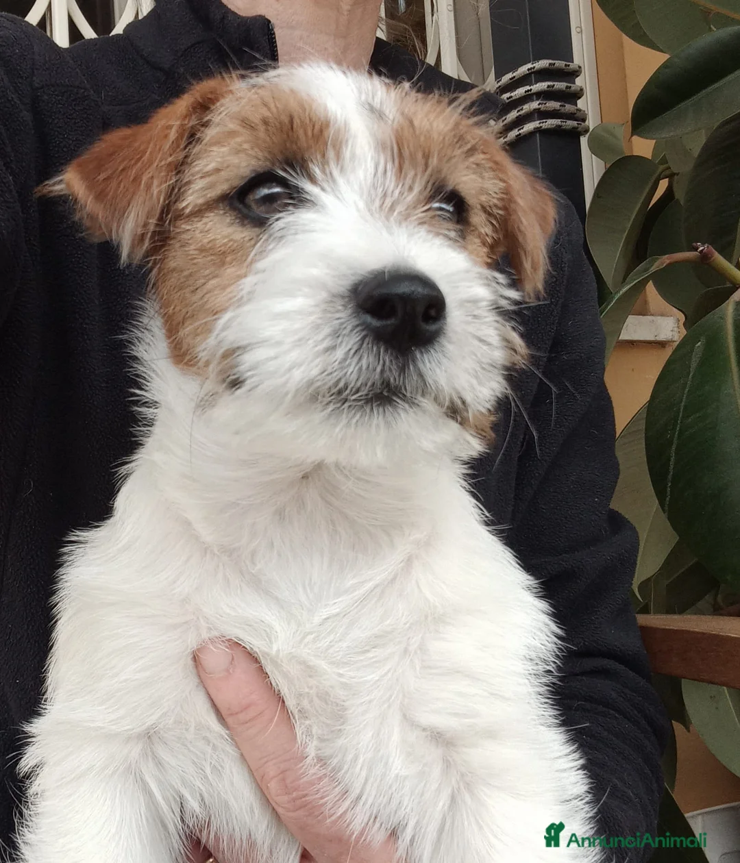 Immagine della galleria {{count}}