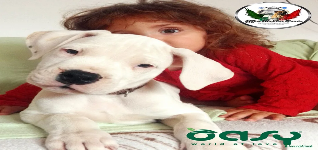 Immagine della galleria {{count}}