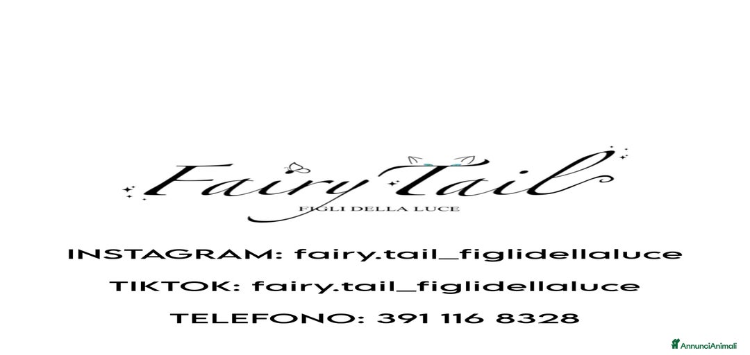 Immagine della galleria {{count}}