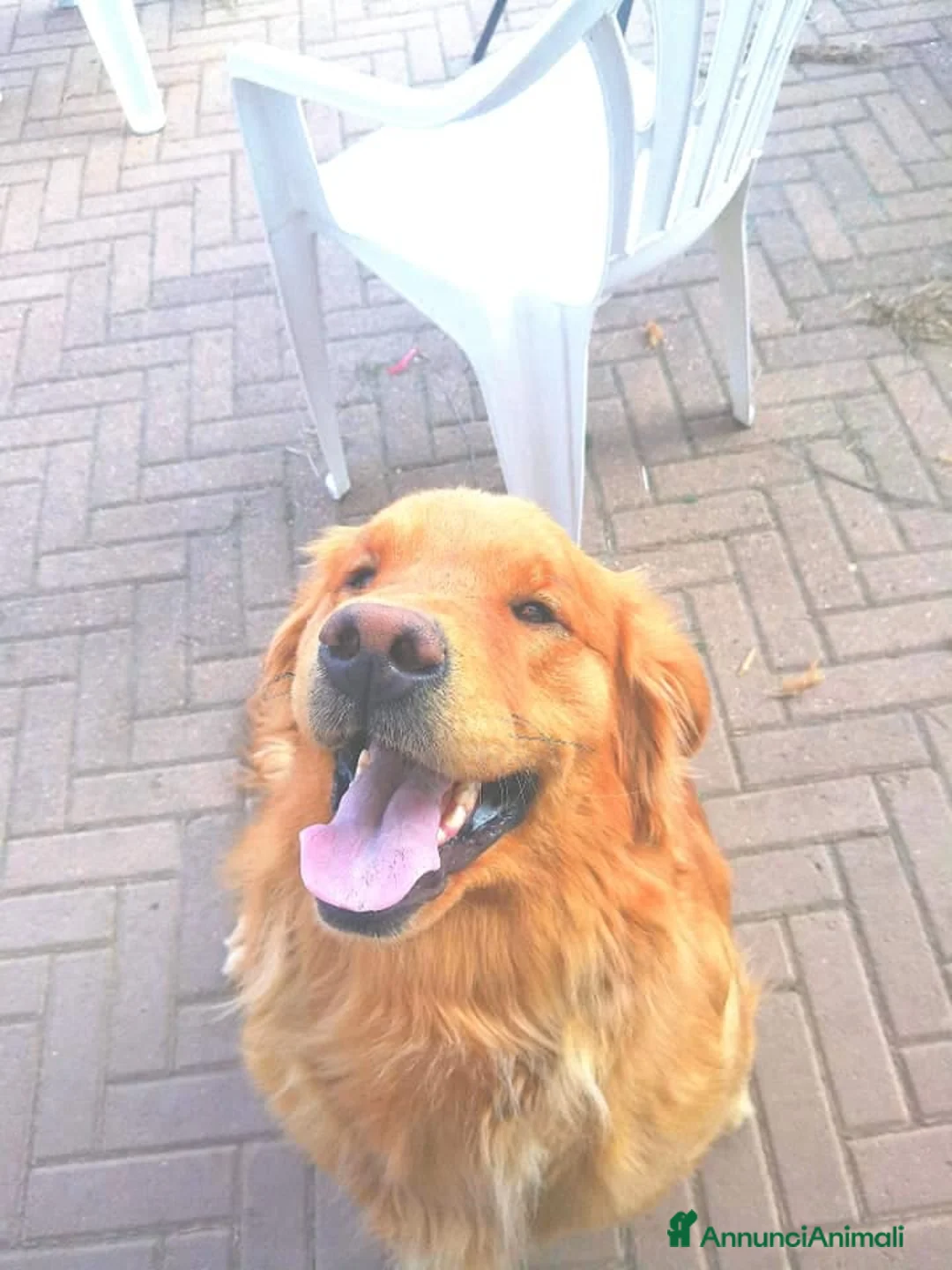 Immagine della galleria {{count}}