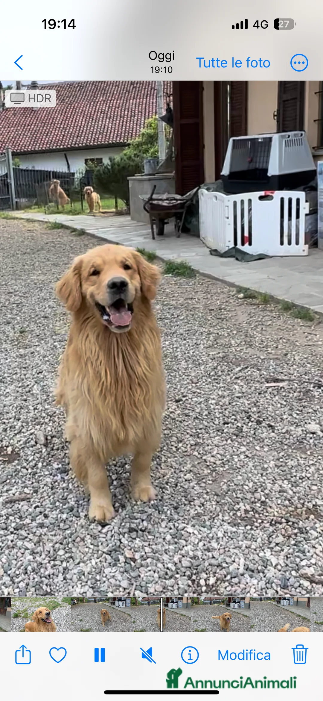 Immagine della galleria {{count}}