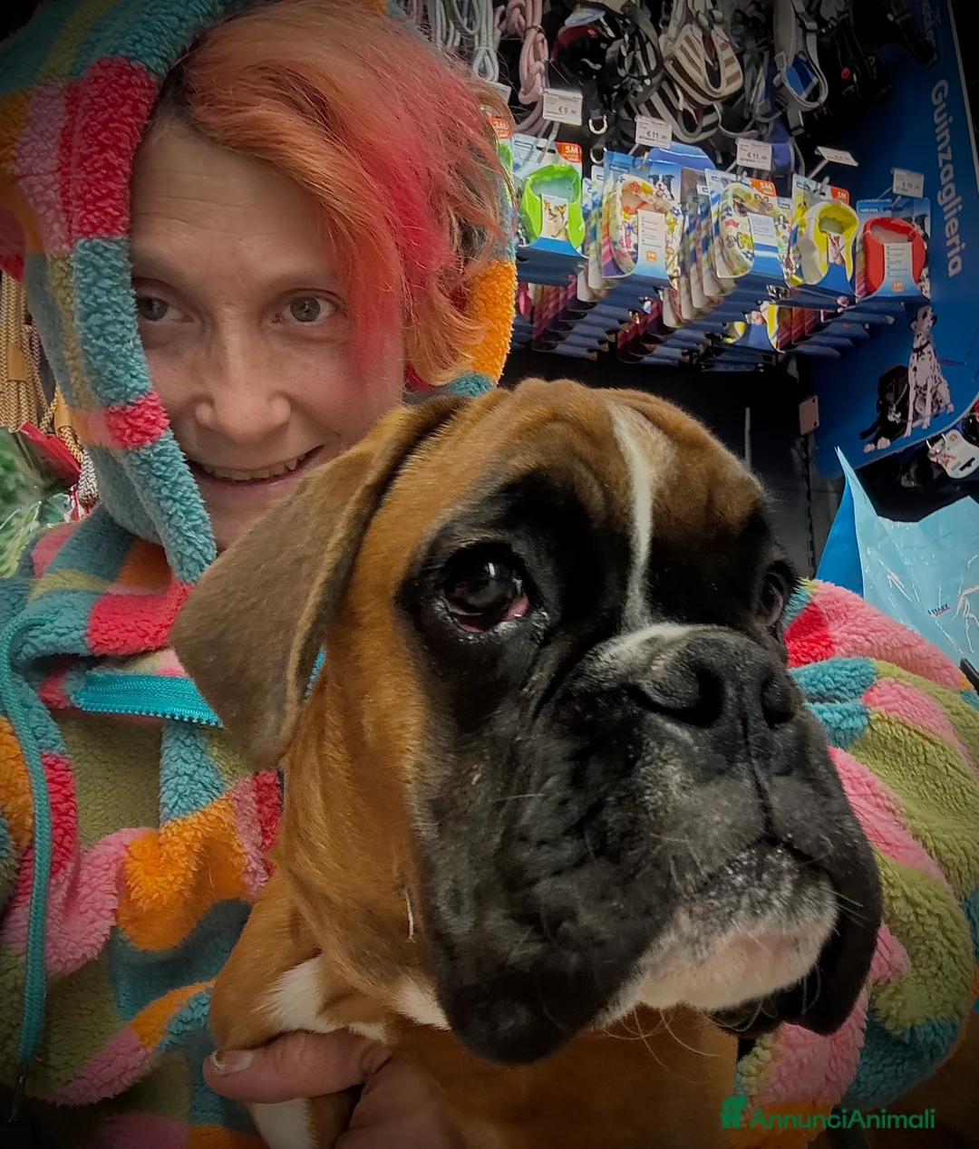 Immagine della galleria {{count}}