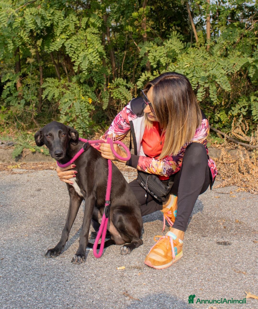 Altre razze cani in regalo: piccolo - Annuncio 4