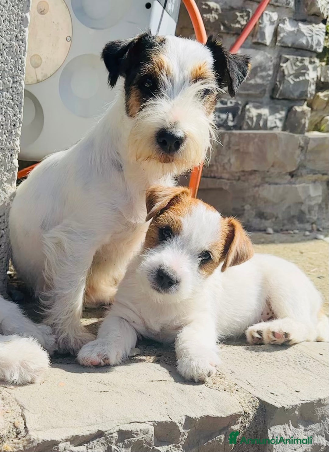 Immagine della galleria {{count}}