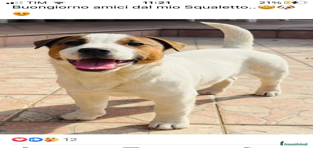 Immagine della galleria {{count}}