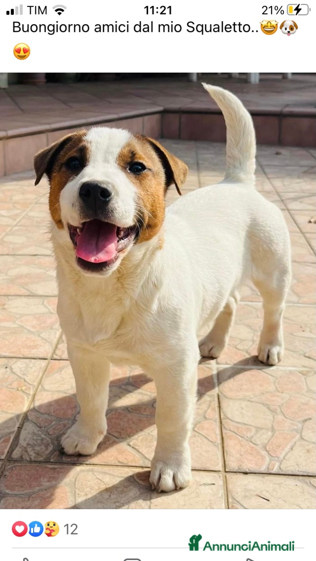 Immagine della galleria {{count}}