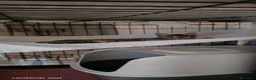 Meticcio gatti in regalo: Bellissimo, 3 mesi e mezzo  - Annuncio 6