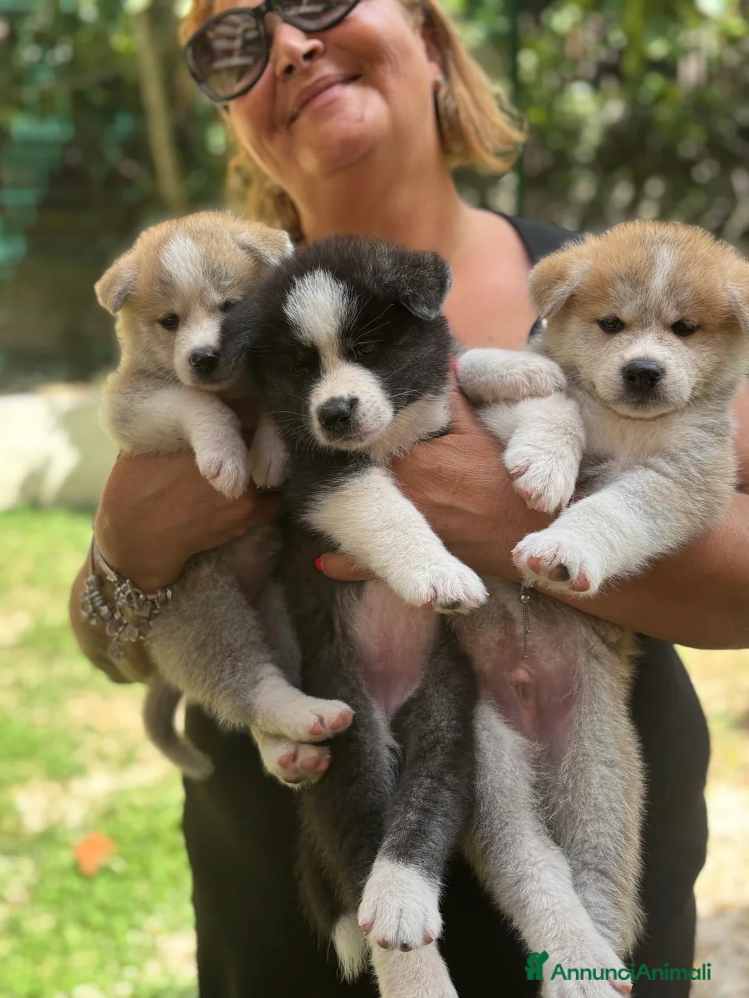 Akita Inu cani in vendita: Cuccioli Akita a Città metropolitana di Roma Capitale - Annuncio 2