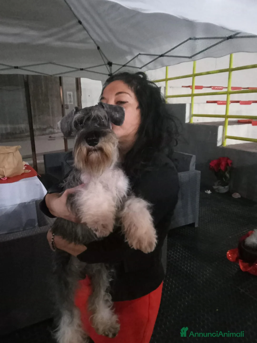 Immagine della galleria {{count}}