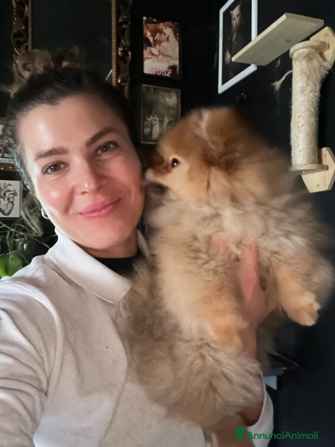 Immagine della galleria {{count}}