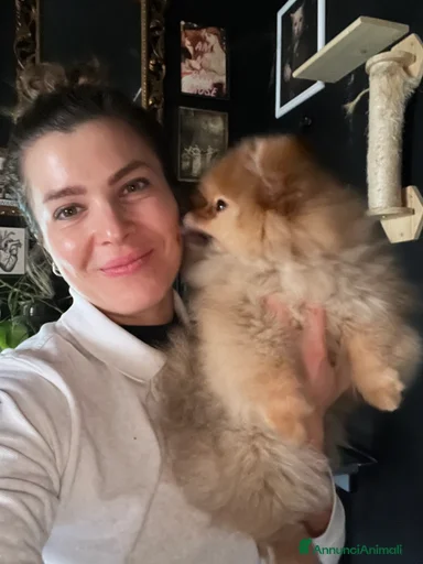 Immagine della galleria {{count}}