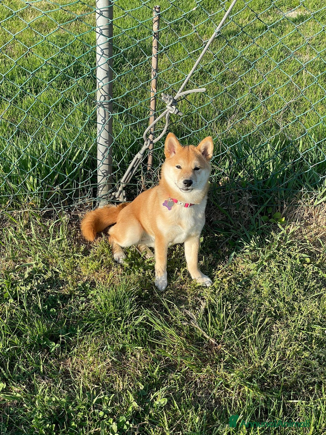 Immagine della galleria {{count}}