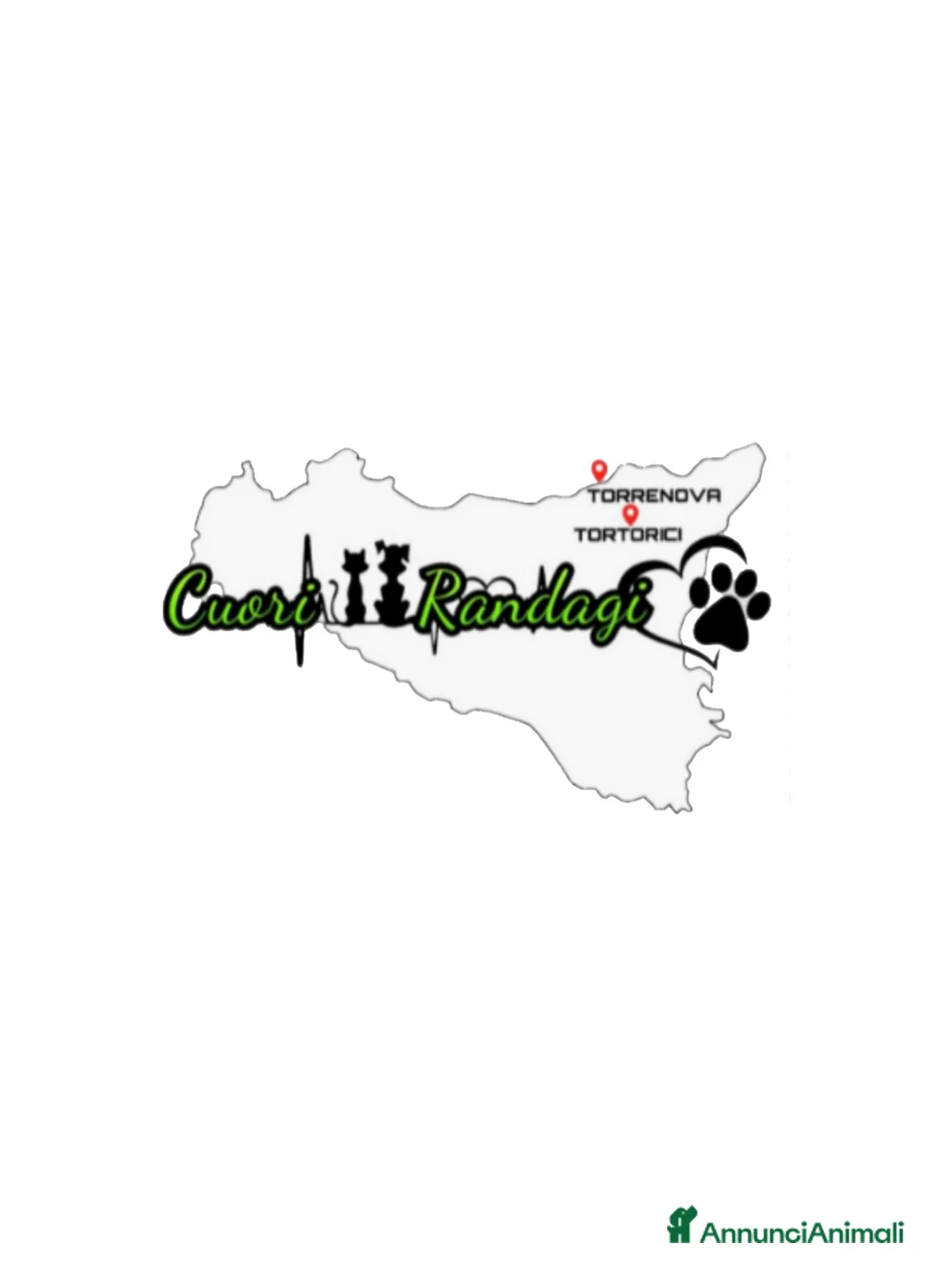 Immagine della galleria {{count}}