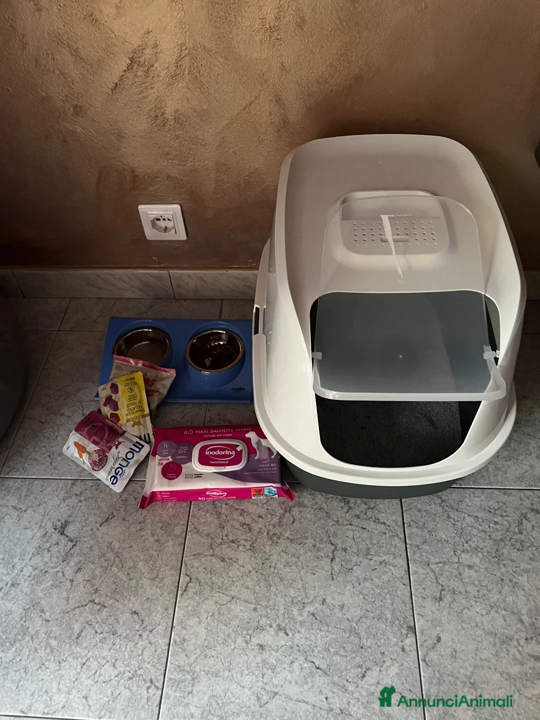 Ragdoll gatti in vendita: Gatto ragdoll di 3 messi - Annuncio 2