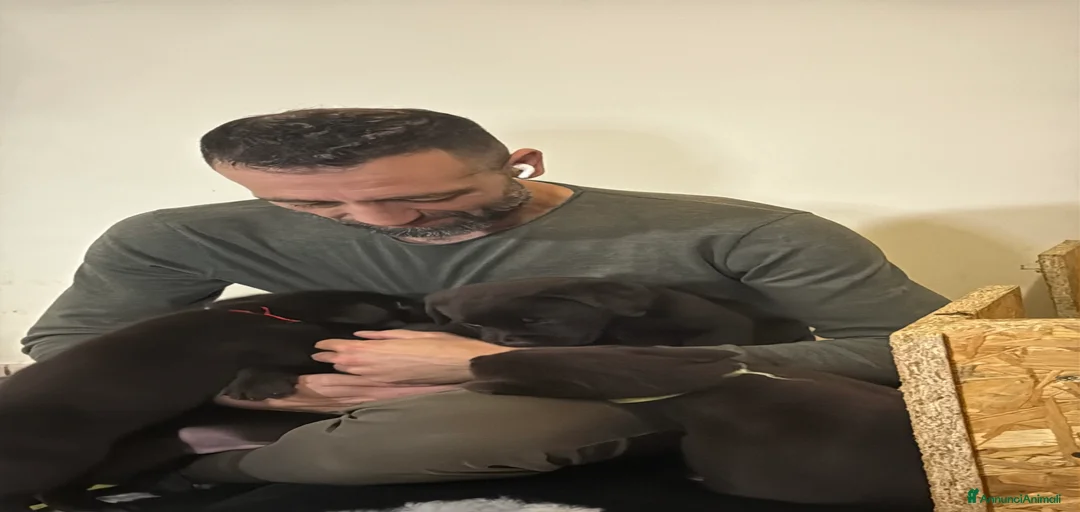 Immagine della galleria {{count}}