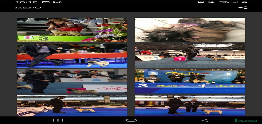 Immagine della galleria {{count}}