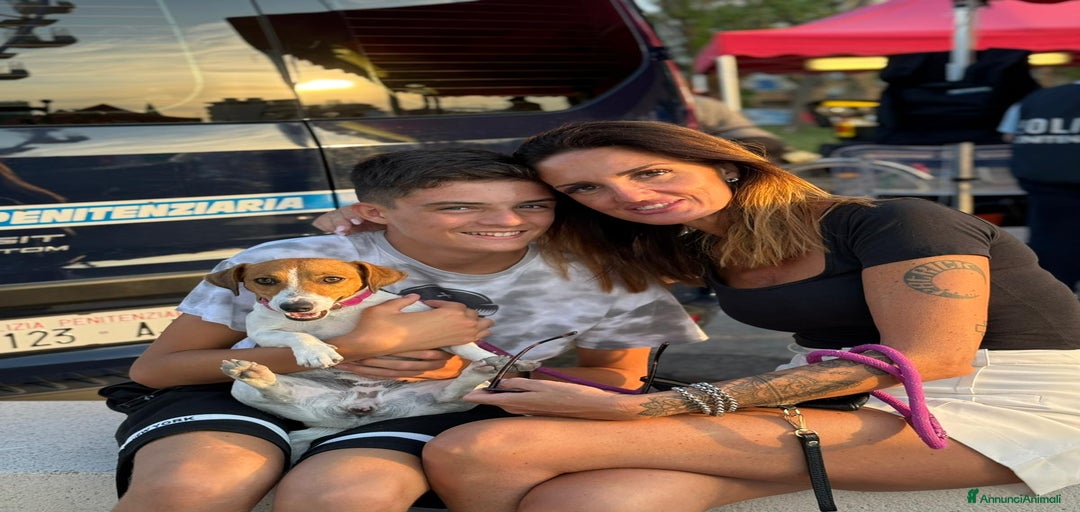 Immagine della galleria {{count}}