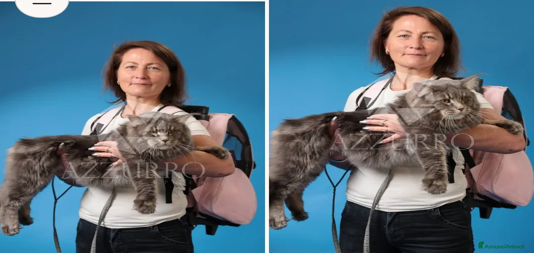 Immagine della galleria {{count}}