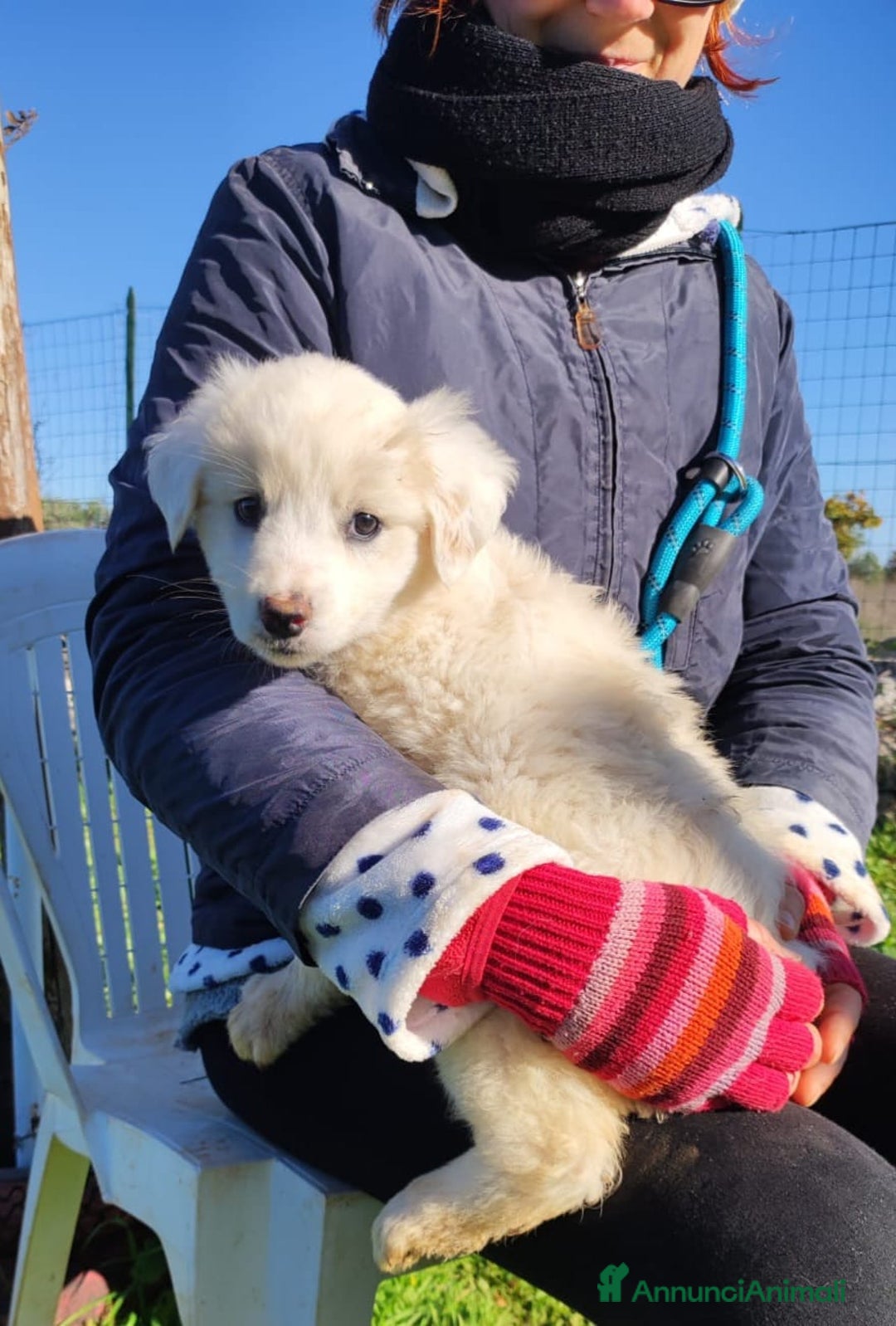 Meticcio cani in regalo: Lilla & Viola - Annuncio 7