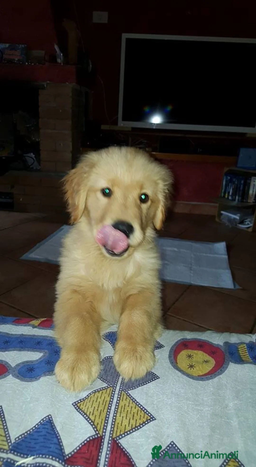 Immagine della galleria {{count}}