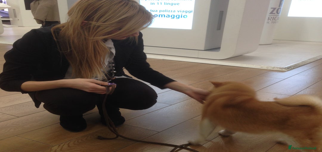 Immagine della galleria {{count}}