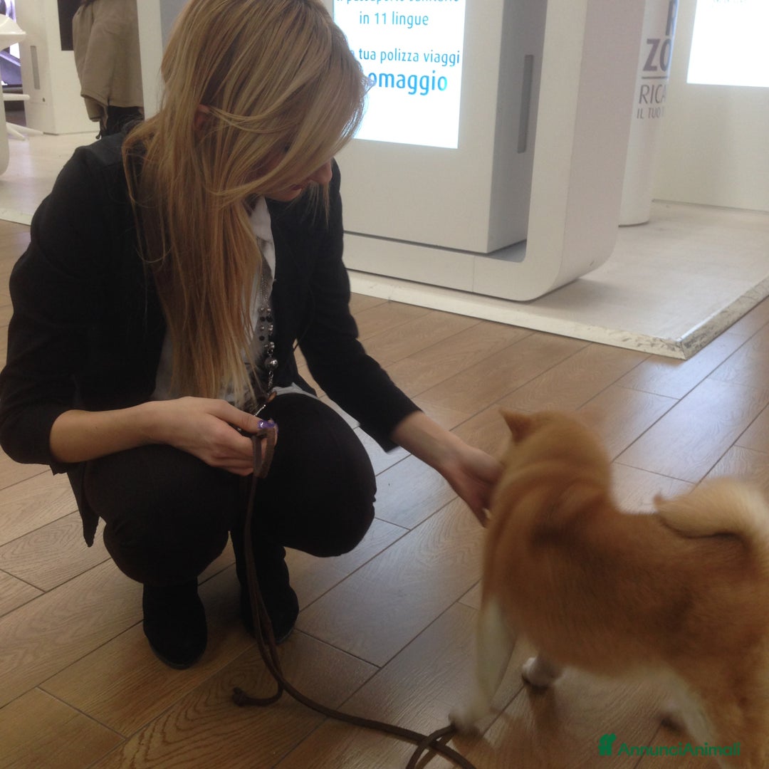 Immagine della galleria {{count}}