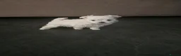 Maltese cani in vendita: Cucciolo maschietto maltese  - Annuncio 2