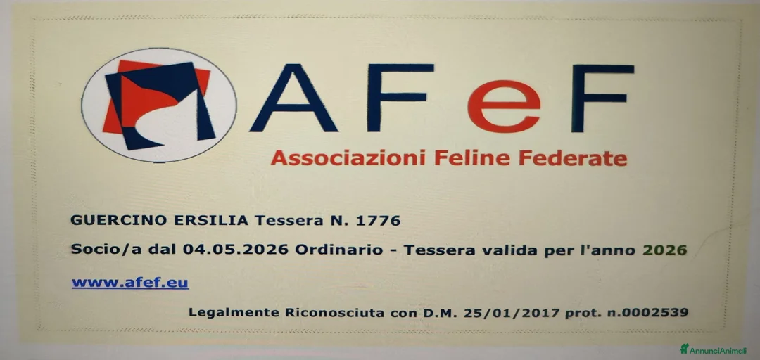 Immagine della galleria {{count}}