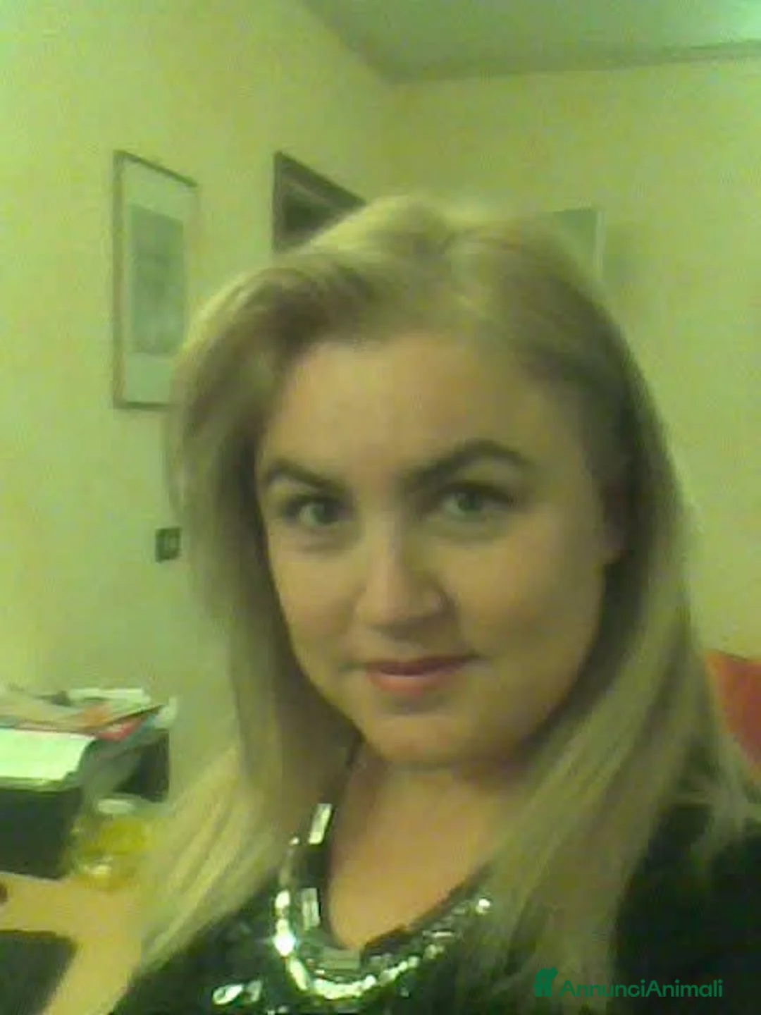 Immagine della galleria {{count}}