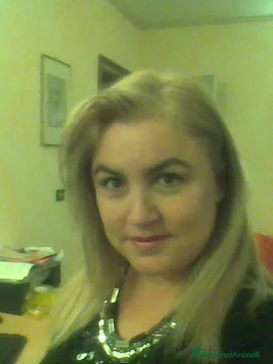 Immagine della galleria {{count}}