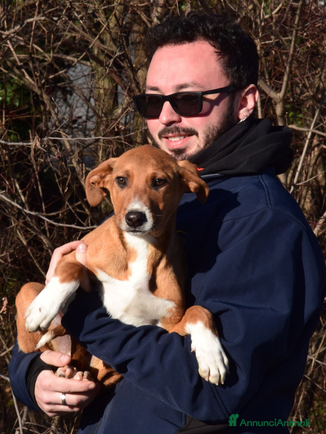 Altre razze cani in regalo: osmar - Annuncio 2