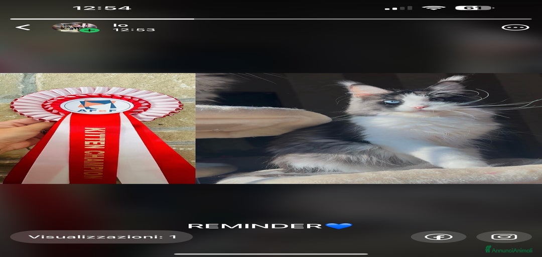 Immagine della galleria {{count}}