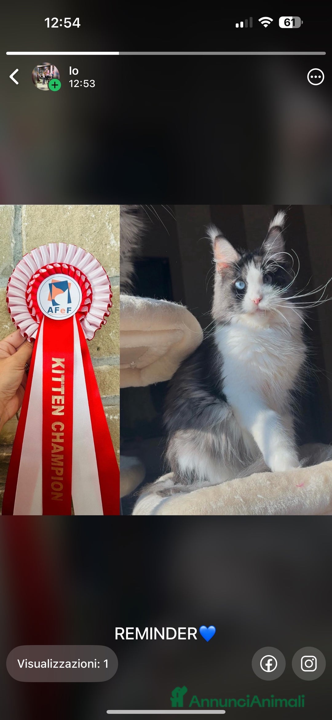 Immagine della galleria {{count}}