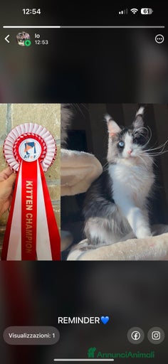 Immagine della galleria {{count}}