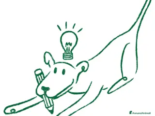 American Bully cani bully in vendita - Annuncio 13