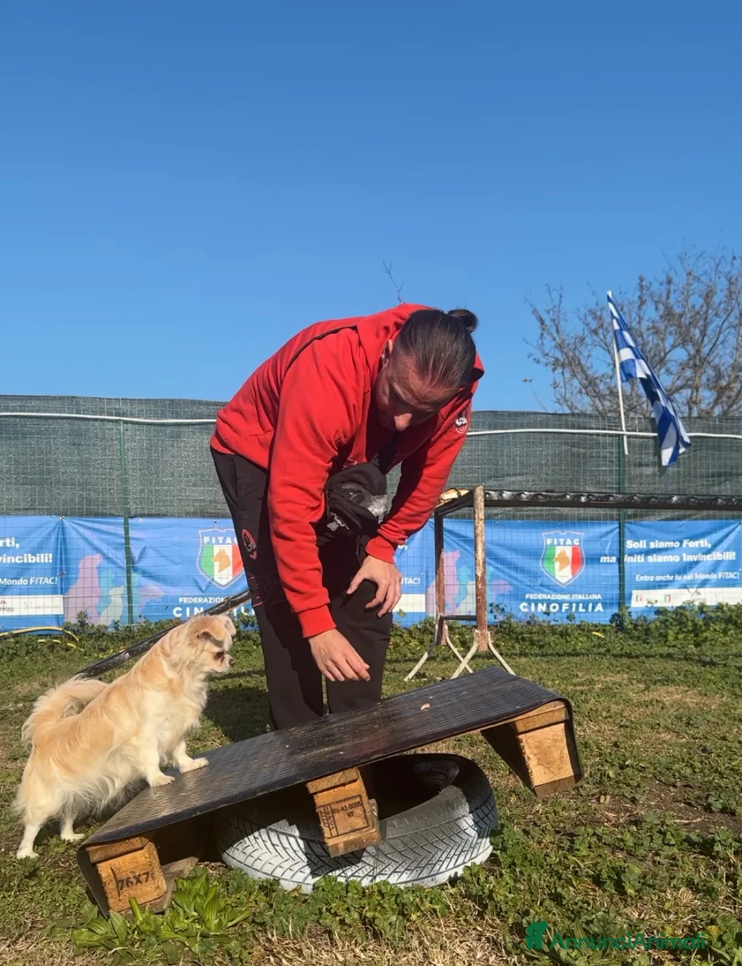 Immagine della galleria {{count}}