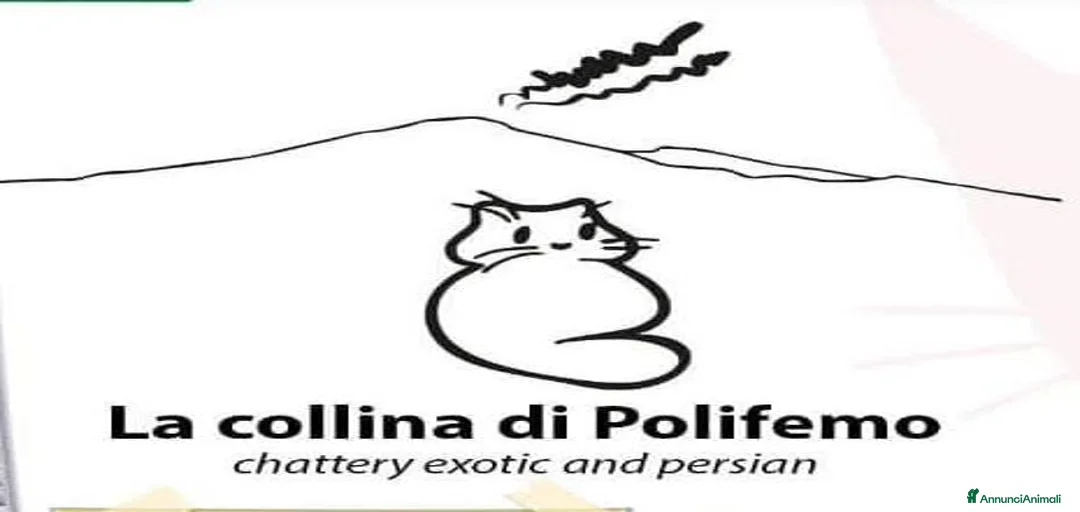 Immagine della galleria {{count}}