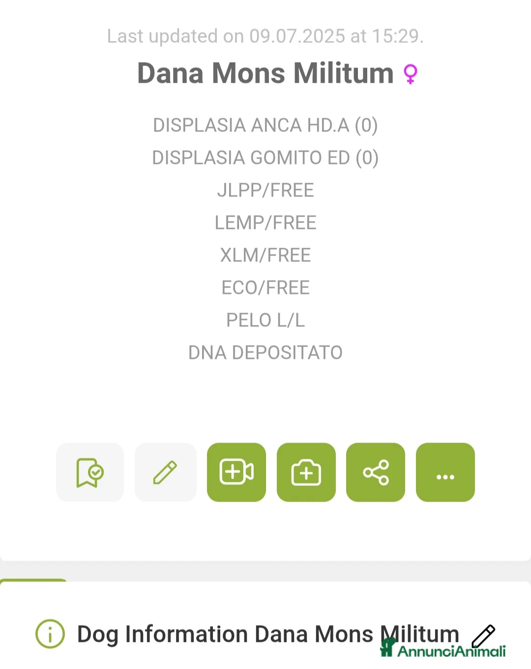 Rottweiler cani in vendita: Disponibile maschio rottweiler - Annuncio 4