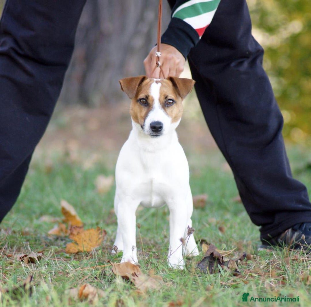 Immagine della galleria {{count}}