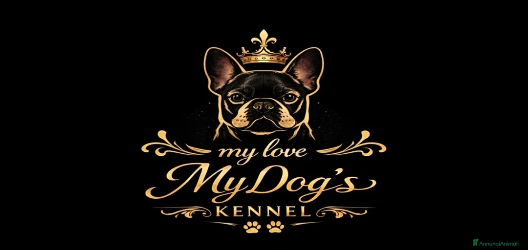 Immagine della galleria {{count}}