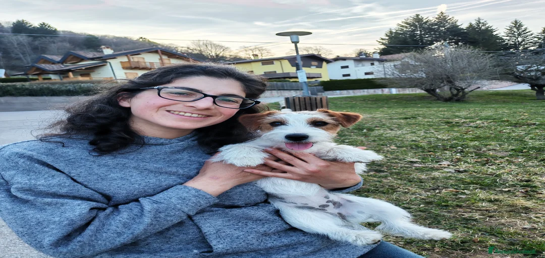 Immagine della galleria {{count}}