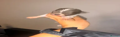 Chihuahua 1