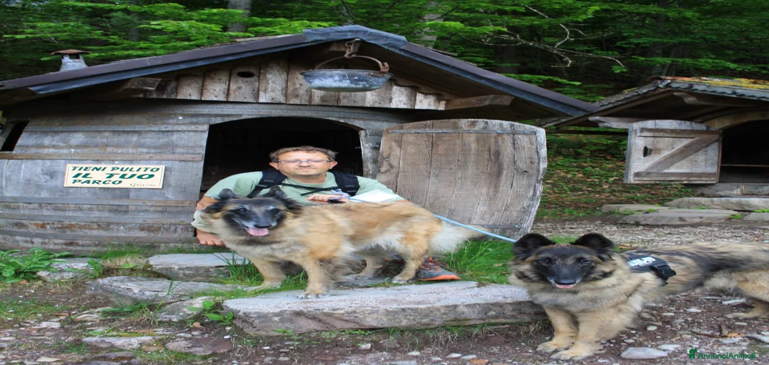 Immagine della galleria {{count}}