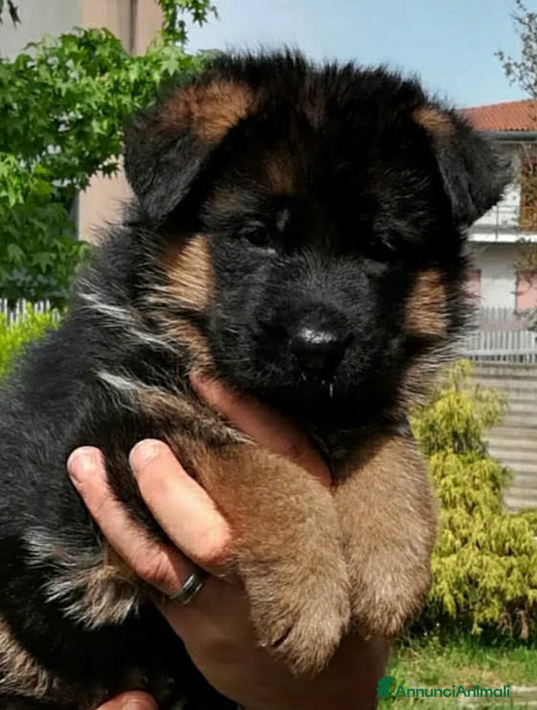 Immagine della galleria {{count}}