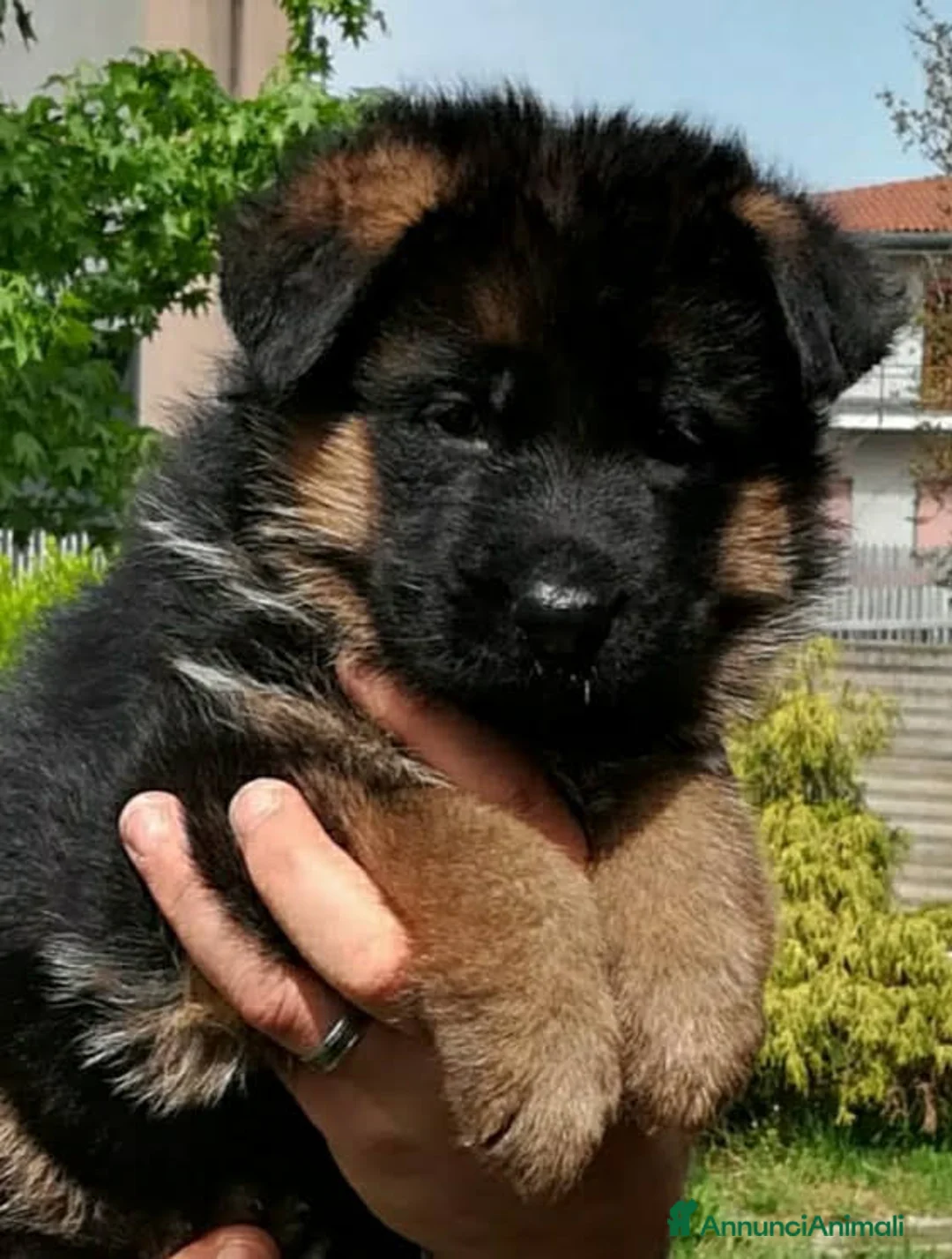 Immagine della galleria {{count}}